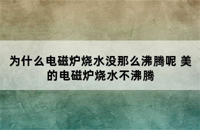 为什么电磁炉烧水没那么沸腾呢 美的电磁炉烧水不沸腾